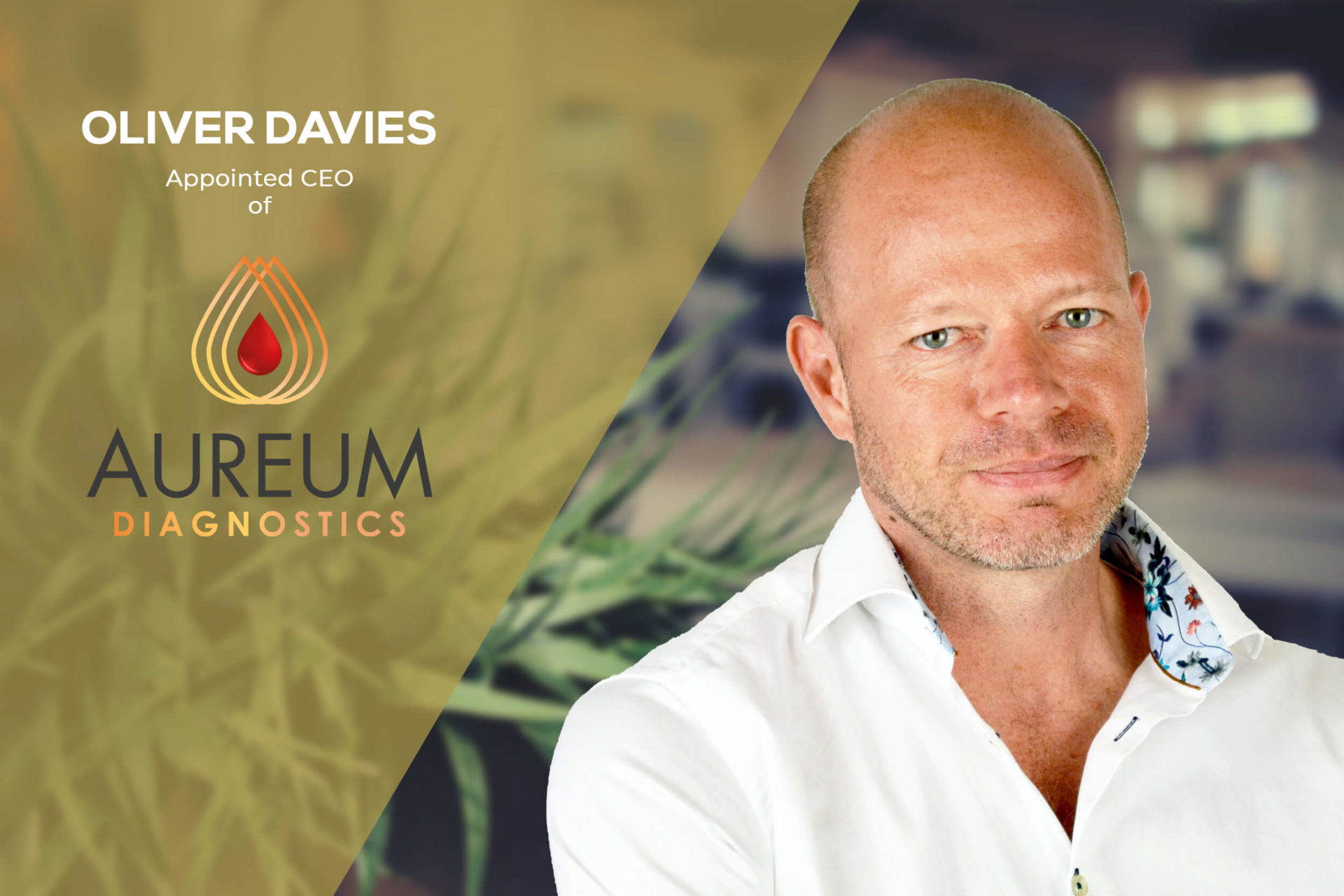 Oliver Davies – Appointed CEO of Aureum Diagnostics