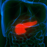 Pancreatic Cancer